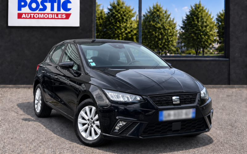 Seat Ibiza (5)